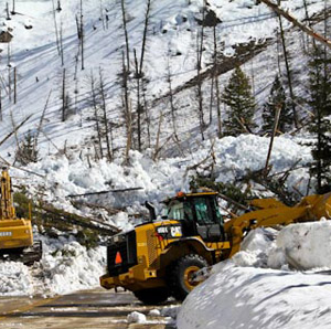 Industrial Worker Avalanche Safety